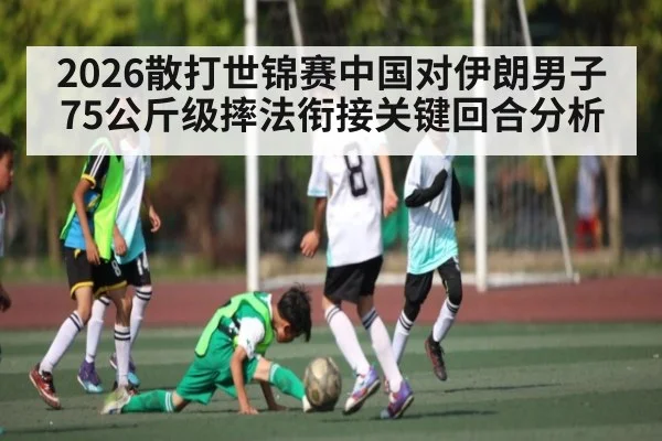 2026散打世锦赛中国对伊朗男子75公斤级摔法衔接关键回合分析